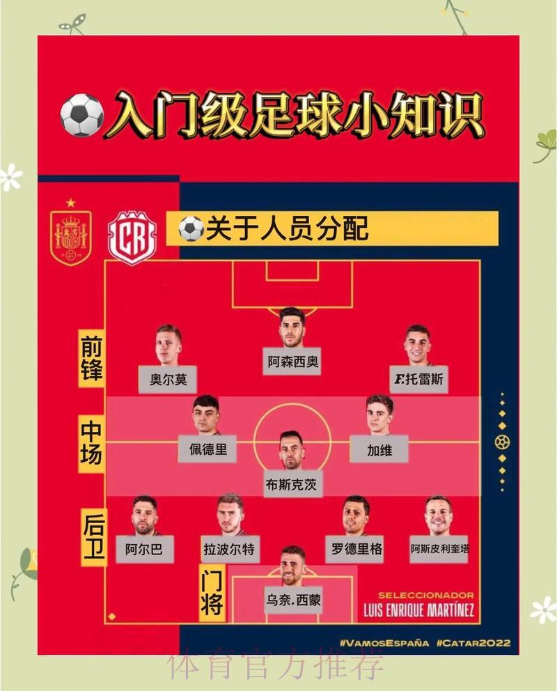 世界杯投注策略与实用技巧分享