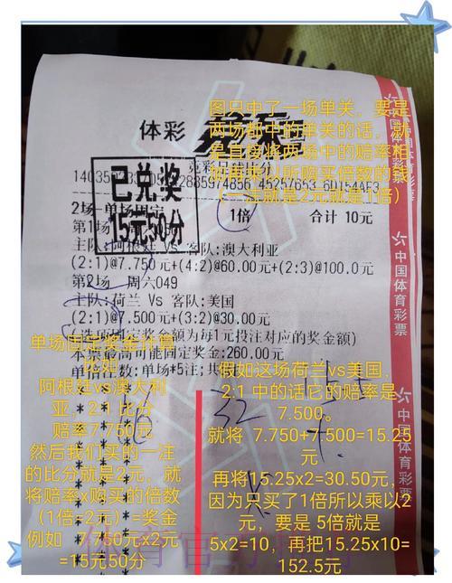 世界杯投注的风险解析：真的可靠吗？
